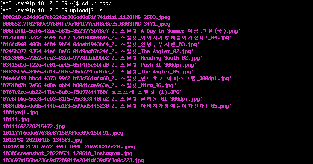 EC2 로컬 이미지 디렉토리